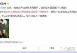 沧州生活爆料事件视频最新,最新视频揭露惊人真相！